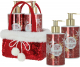 VIVIAN GRAY CHRISTMAS RED Soap gel+Hand Lotion 2